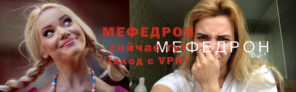 тгк Лагань