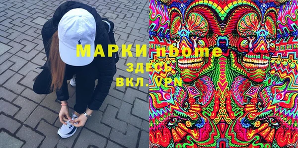 гидра Корсаков