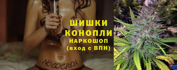 тгк Лагань