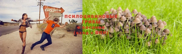 мескалин Лабытнанги