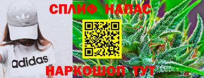 каннабис Дубна