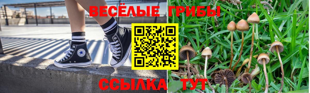 Галлюциногенные грибы Psilocybine cubensis Углич